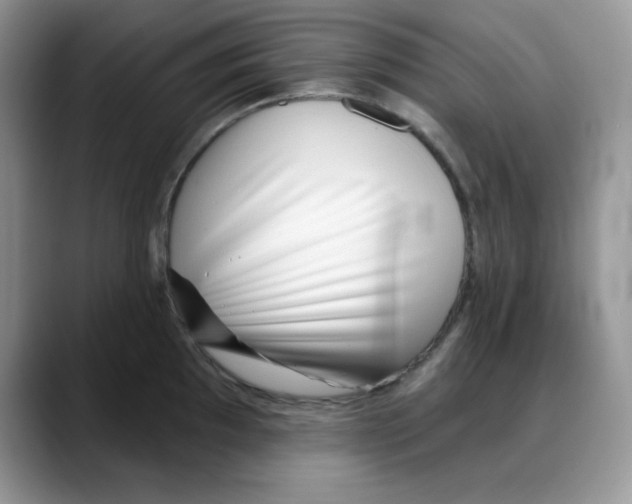 X0000088041097200706081604