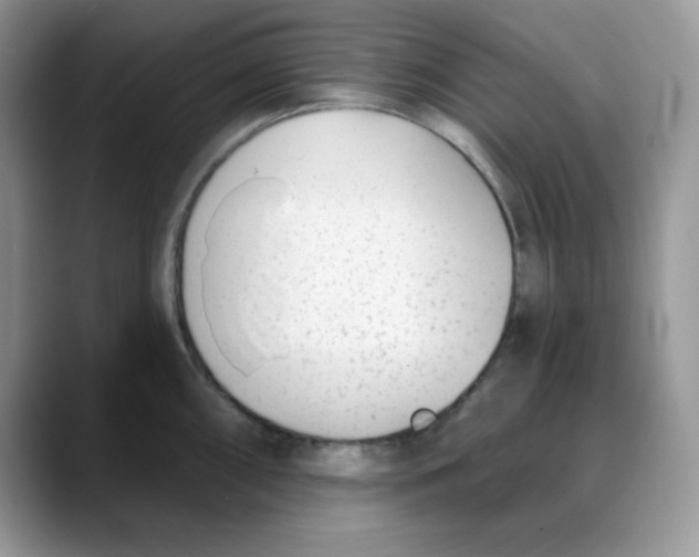 X0000088041098200706081604