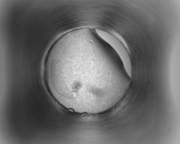 X0000088041099200706081604