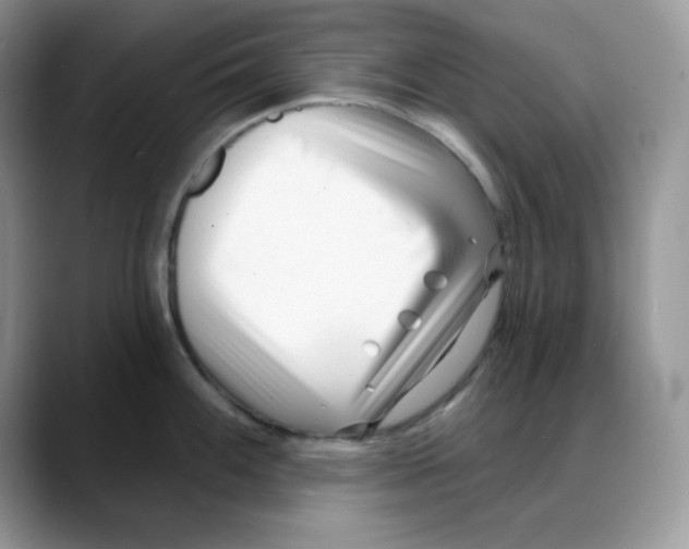 X0000088041100200706081604