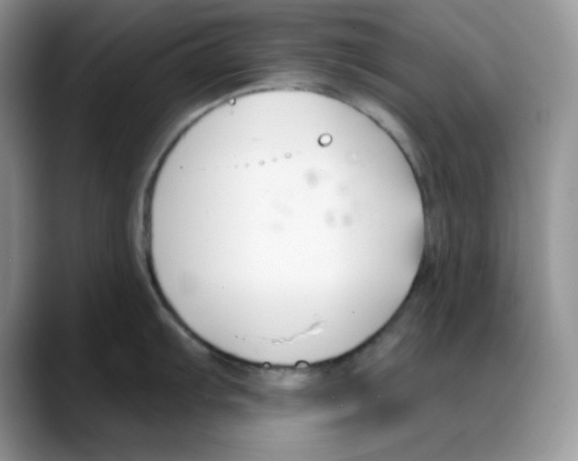 X0000088041103200706081604