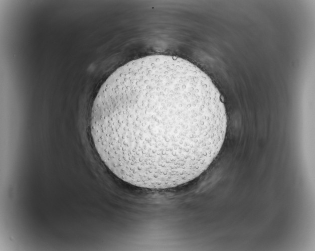 X0000088041105200706081603