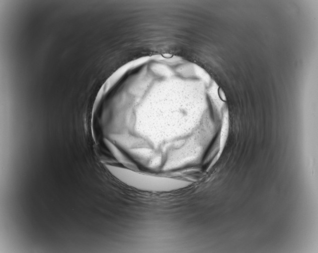 X0000088041106200706081603