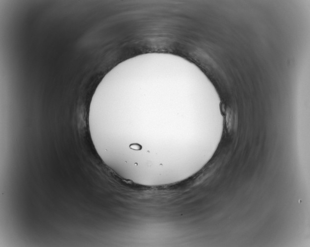 X0000088041107200706081603