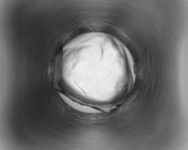 X0000088041108200706081604