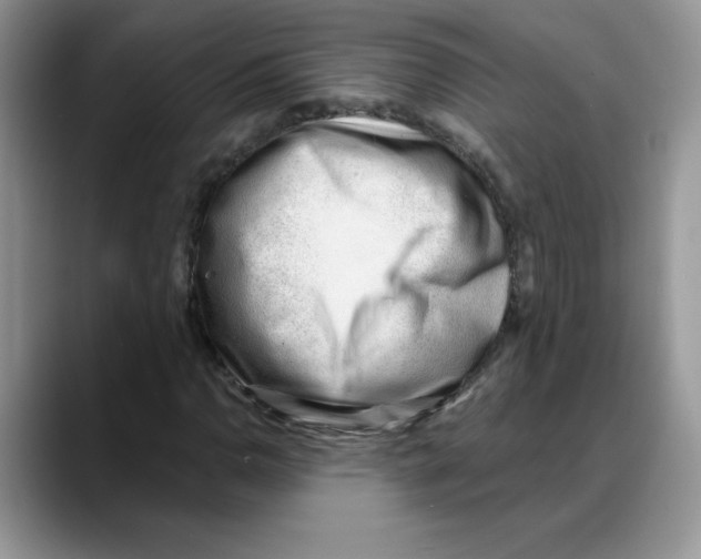 X0000088041110200706081604