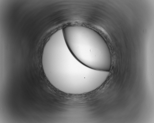 X0000088041112200706081604