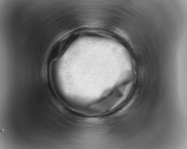 X0000088041114200706081604