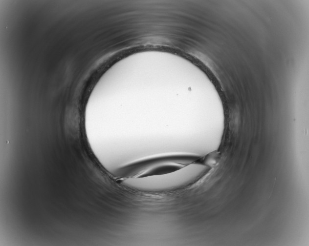 X0000088041115200706081604