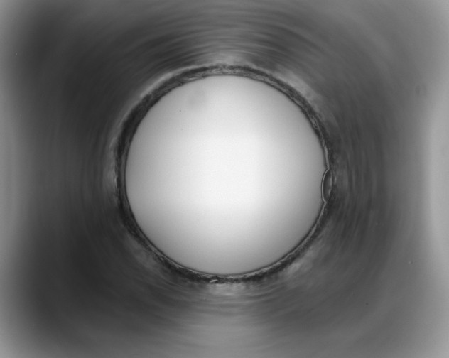 X0000088041118200706081604