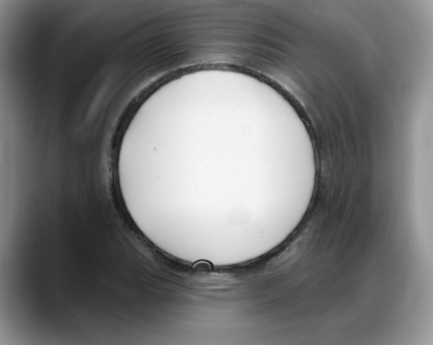 X0000088041119200706081604