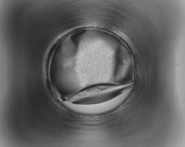 X0000088041120200706081604