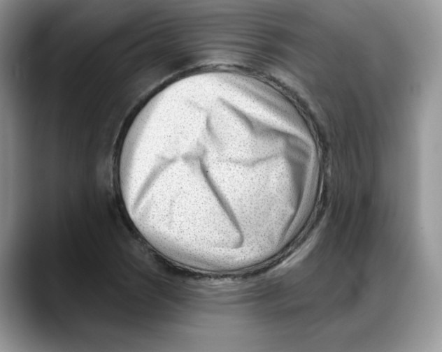 X0000088041121200706081604