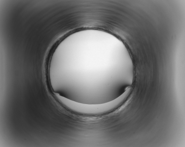 X0000088041122200706081604