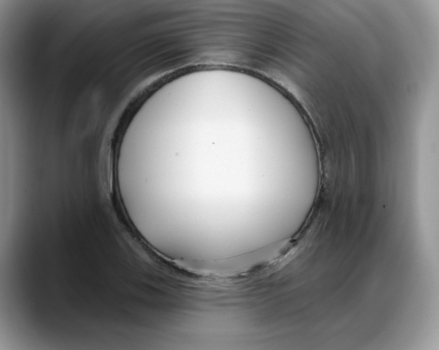 X0000088041123200706081604