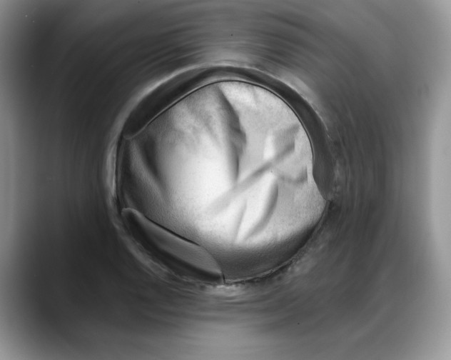 X0000088041128200706081604