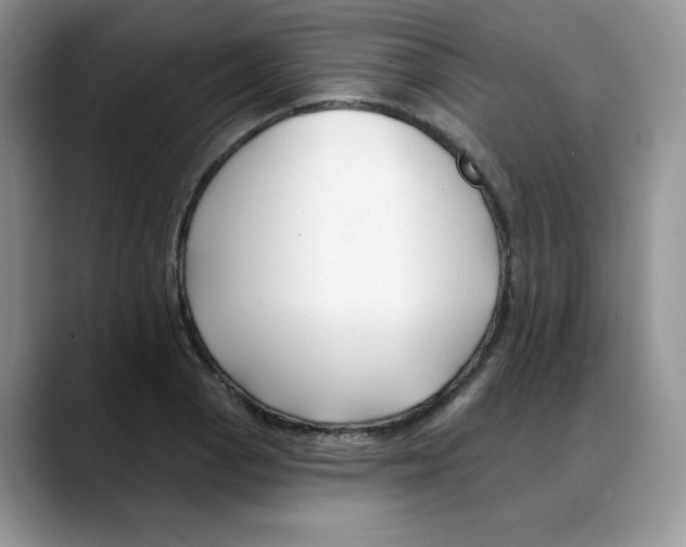 X0000088041129200706081604