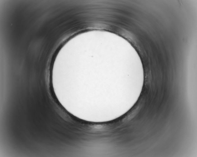 X0000088041130200706081604