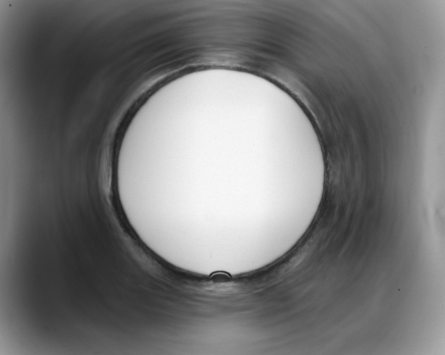 X0000088041131200706081604