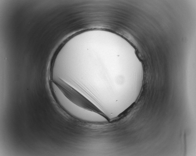 X0000088041132200706081604