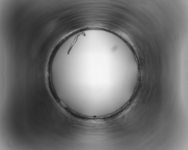 X0000088041133200706081604