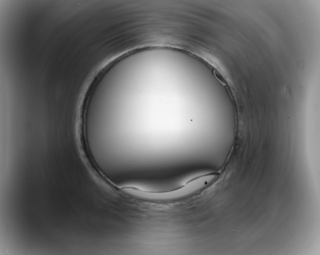 X0000088041136200706081604