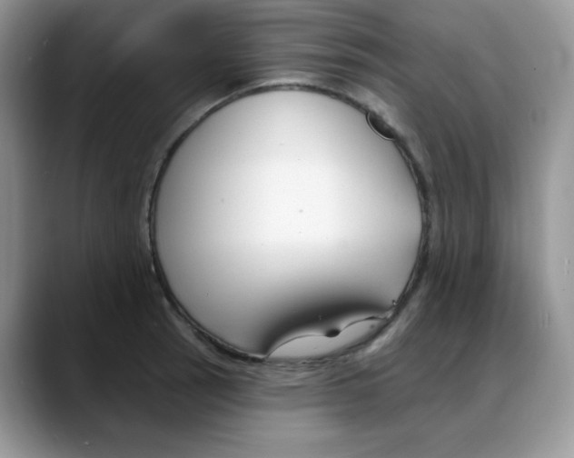 X0000088041137200706081604