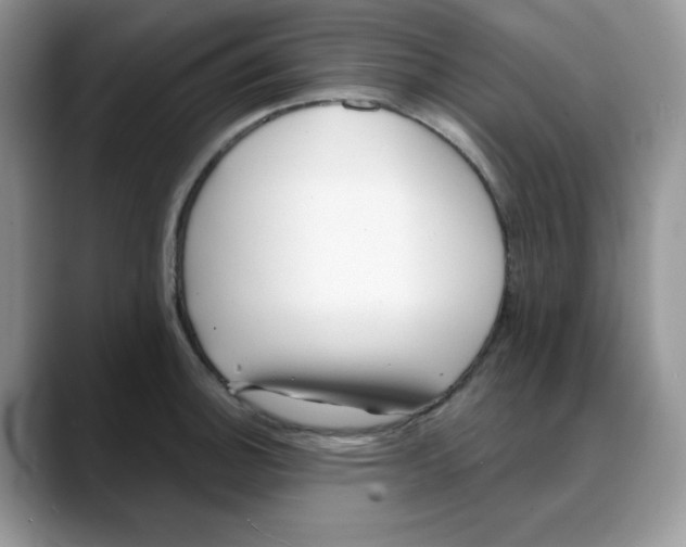 X0000088041140200706081604