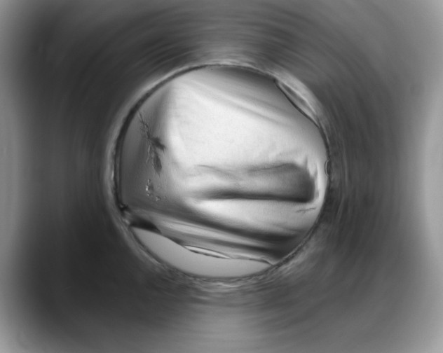 X0000088041144200706081604