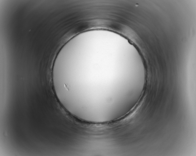 X0000088041145200706081604