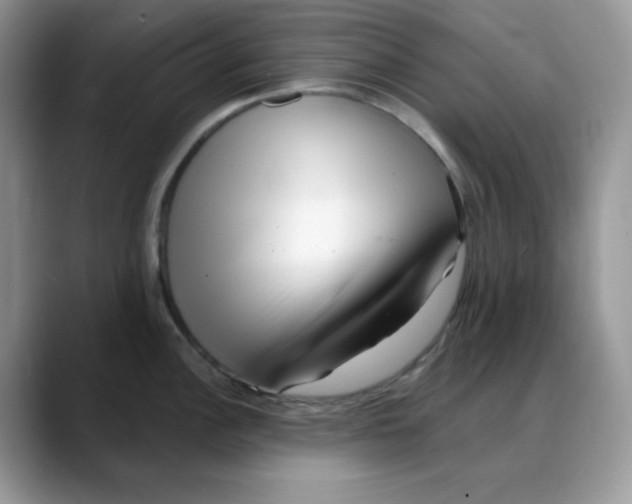 X0000088041148200706081604