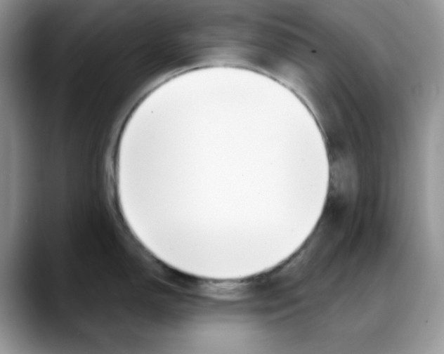 X0000088041150200706081604