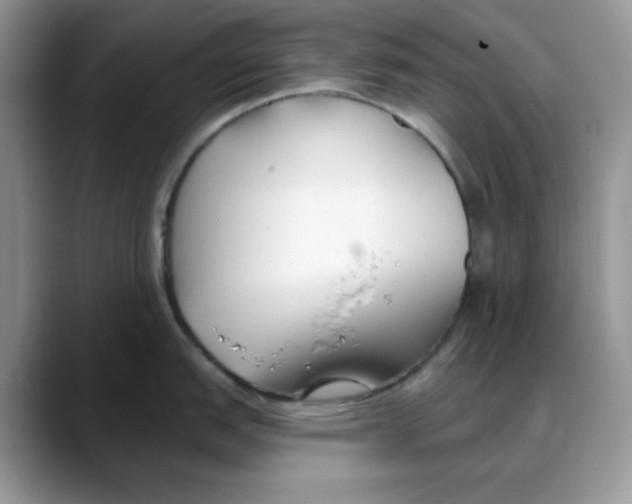 X0000088041151200706081604