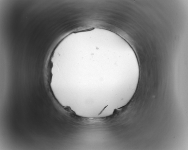 X0000088041152200706081604