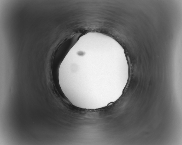 X0000088041153200706081603