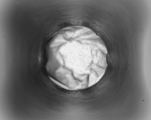 X0000088041154200706081603