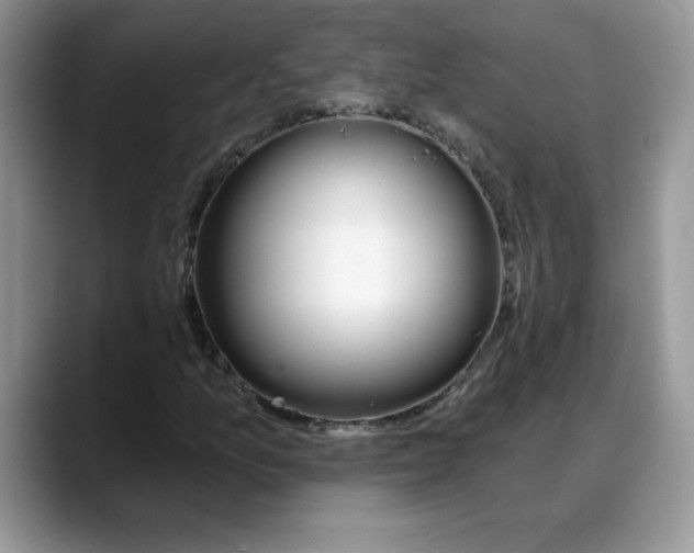 X0000088041157200706081603