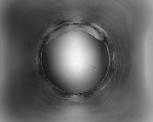 X0000088041160200706081603