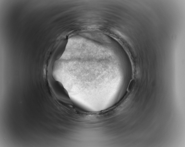 X0000088041161200706081603