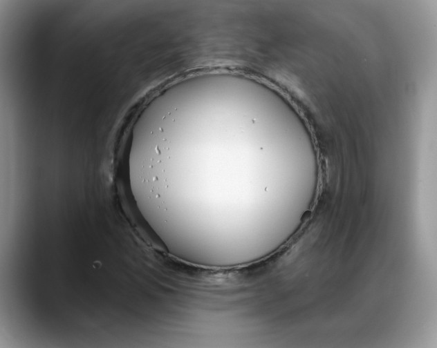 X0000088041165200706081603