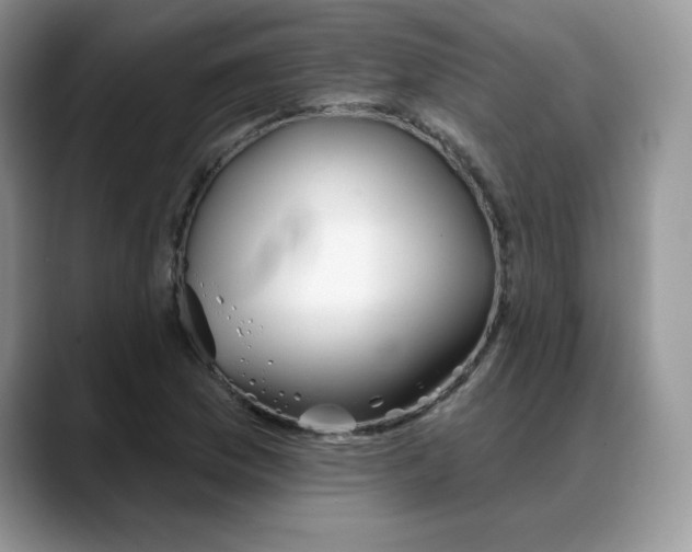 X0000088041169200706081603