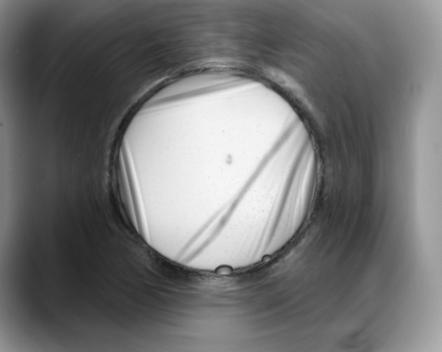 X0000088041170200706081603