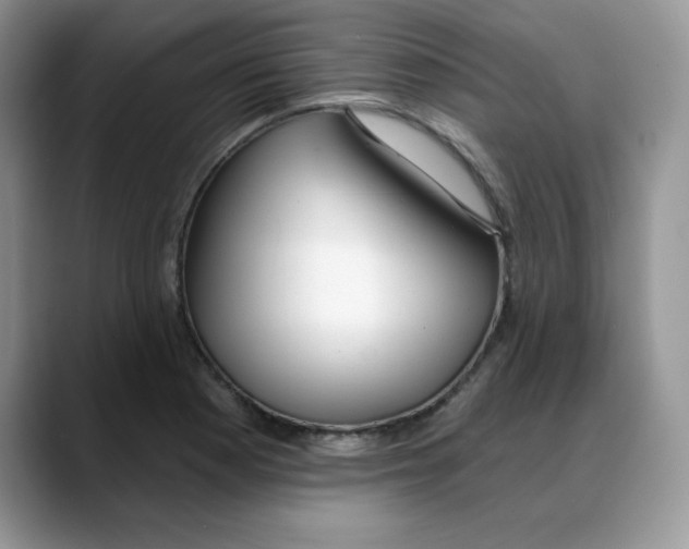 X0000088041177200706081603