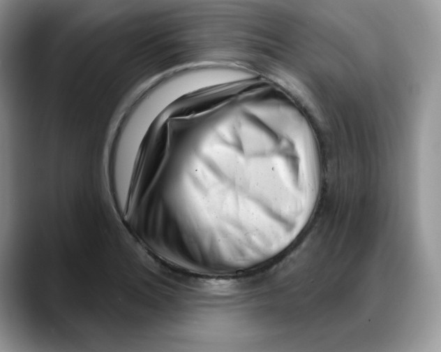 X0000088041180200706081603