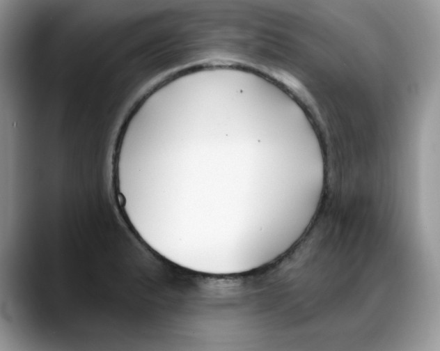 X0000088041183200706081603