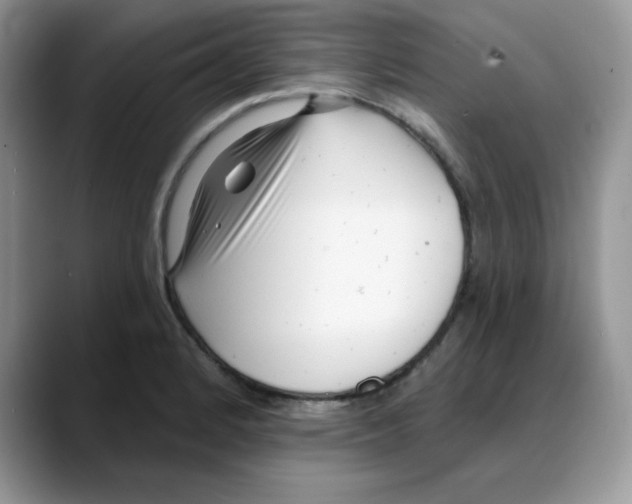 X0000088041184200706081603