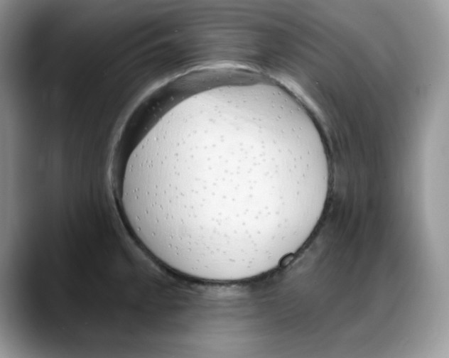 X0000088041189200706081603