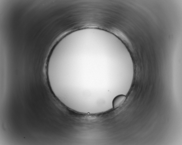 X0000088041190200706081603