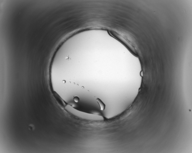 X0000088041191200706081603