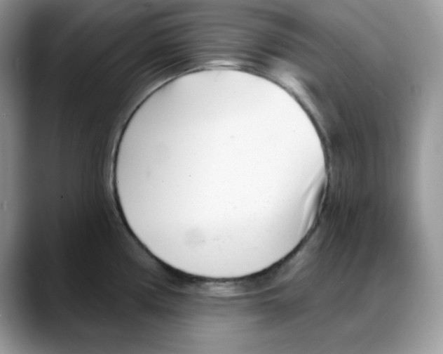 X0000088041194200706081603